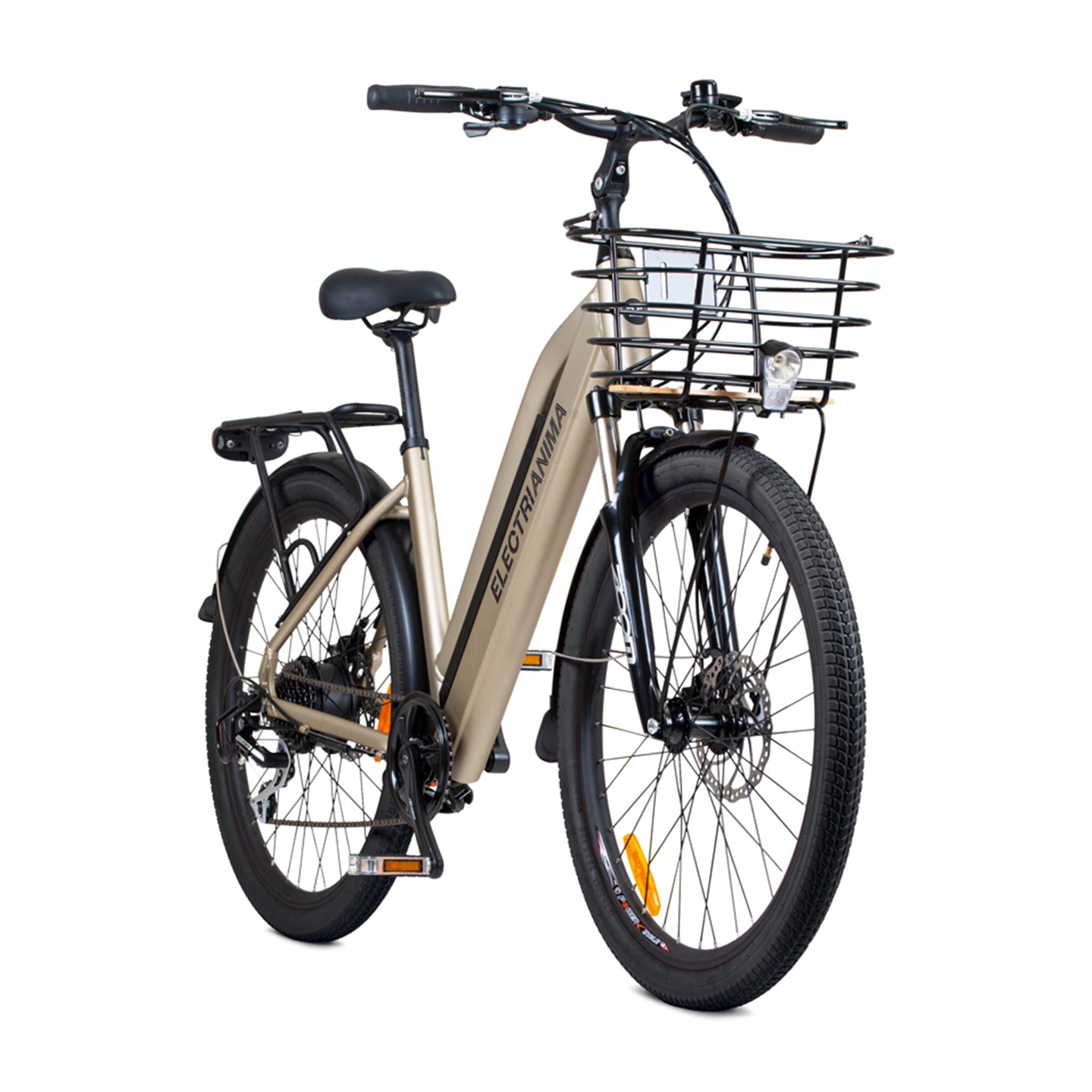 Bicicletta elettrica citybike ANIMA