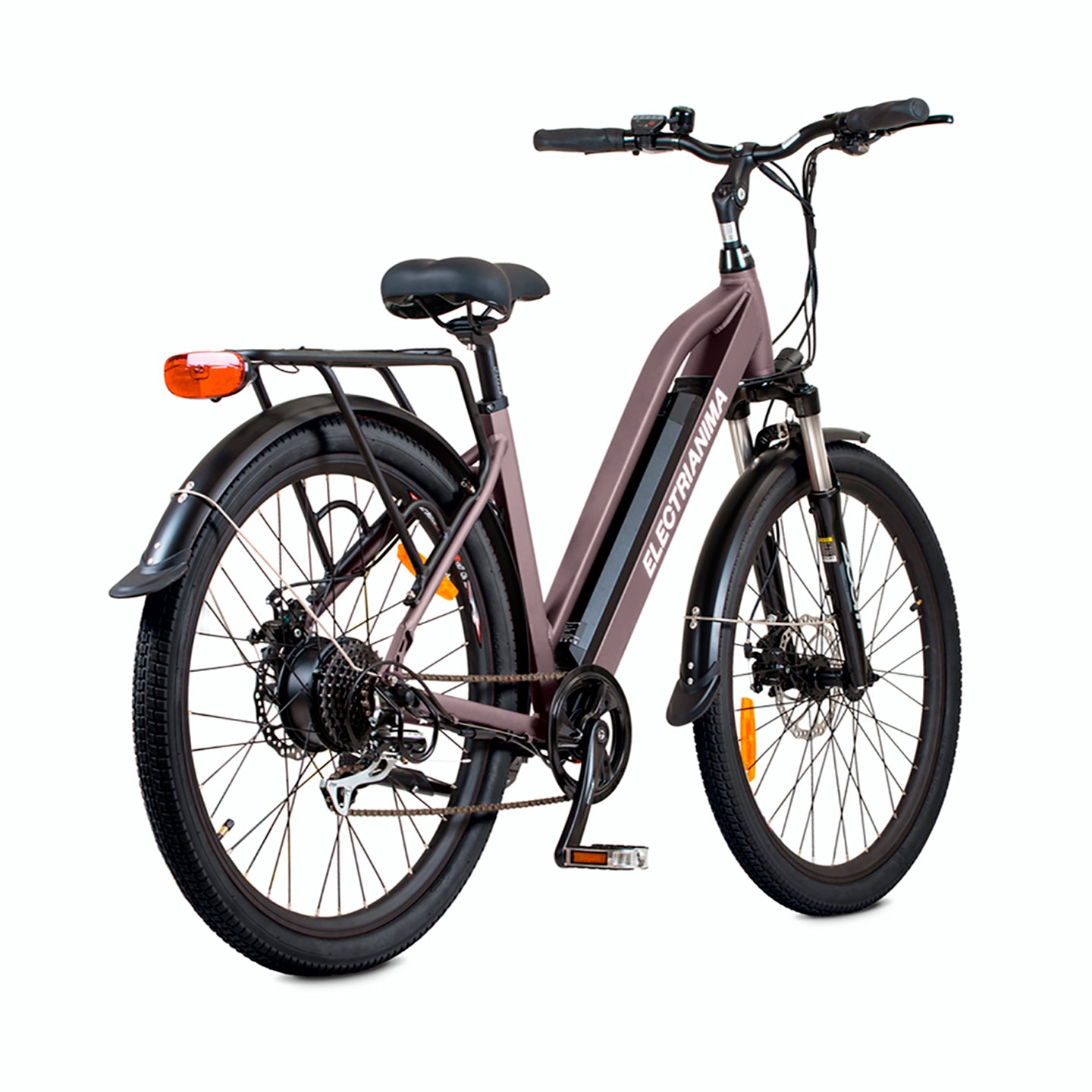 Bicicletta elettrica citybike ANIMA