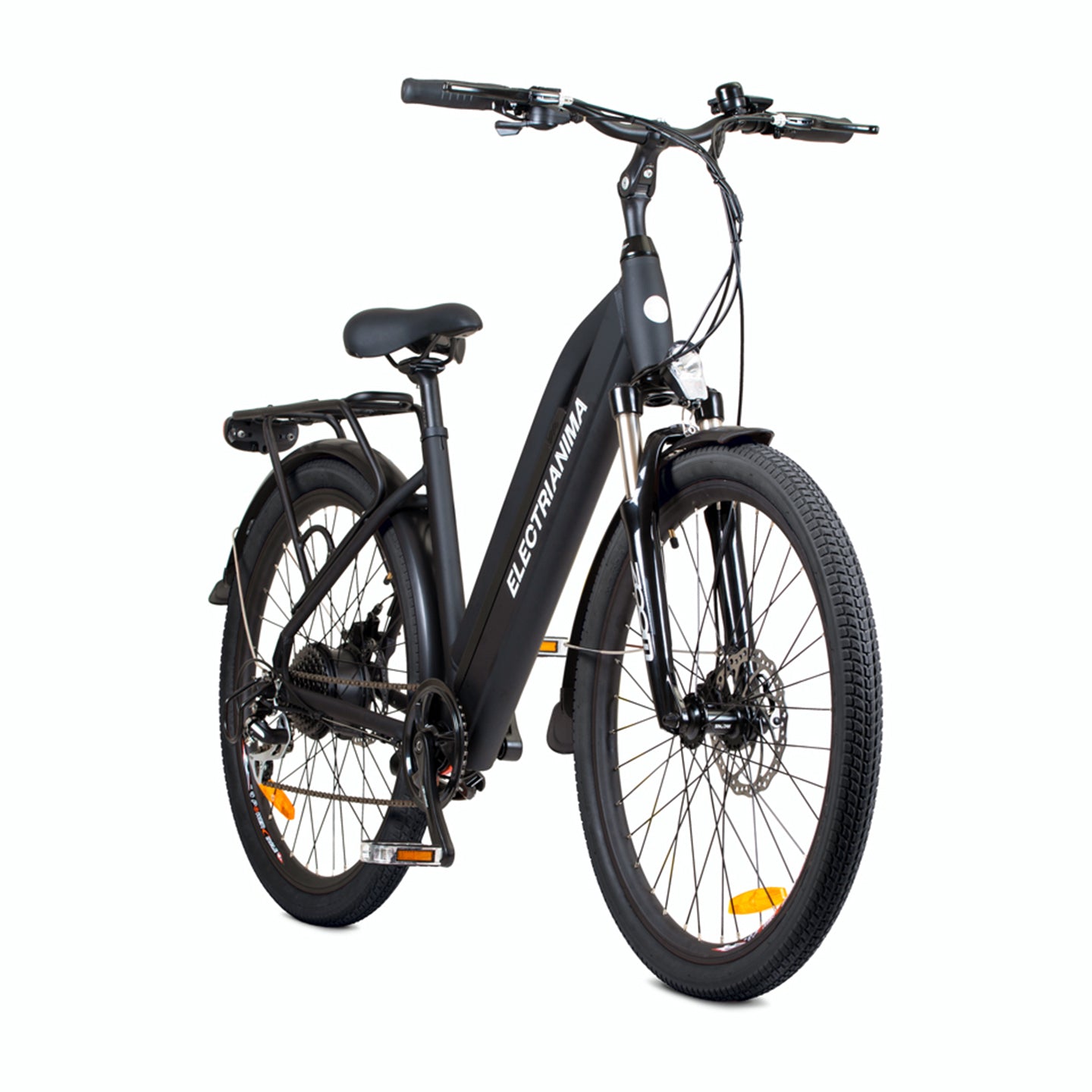 Bicicletta elettrica citybike ANIMA