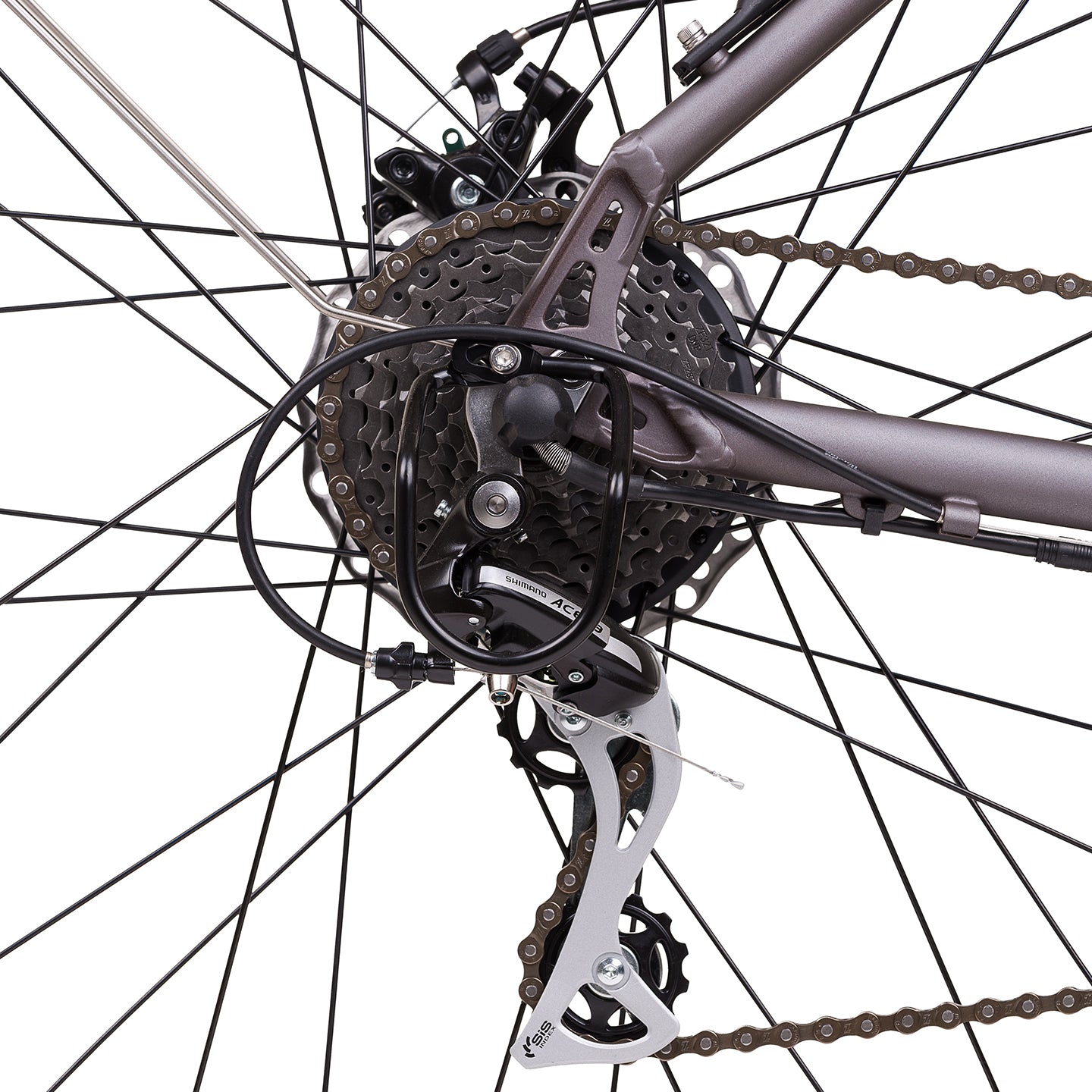 Bicicletta elettrica citybike ANIMA