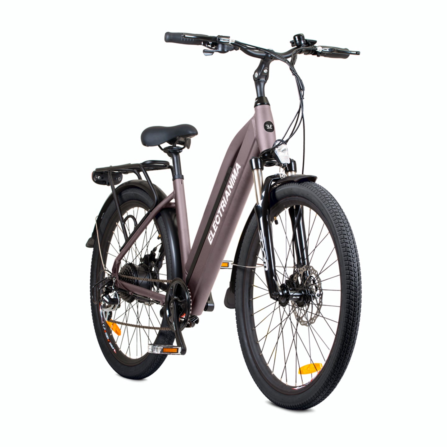 Bicicletta elettrica citybike ANIMA