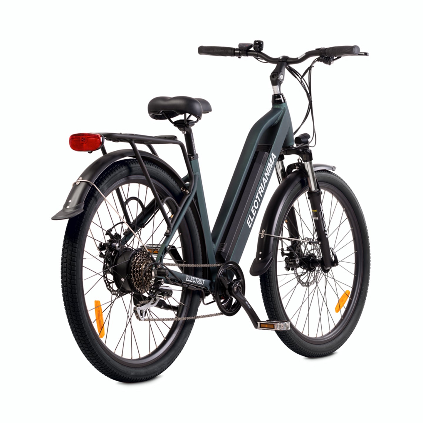 Bicicletta elettrica citybike ANIMA