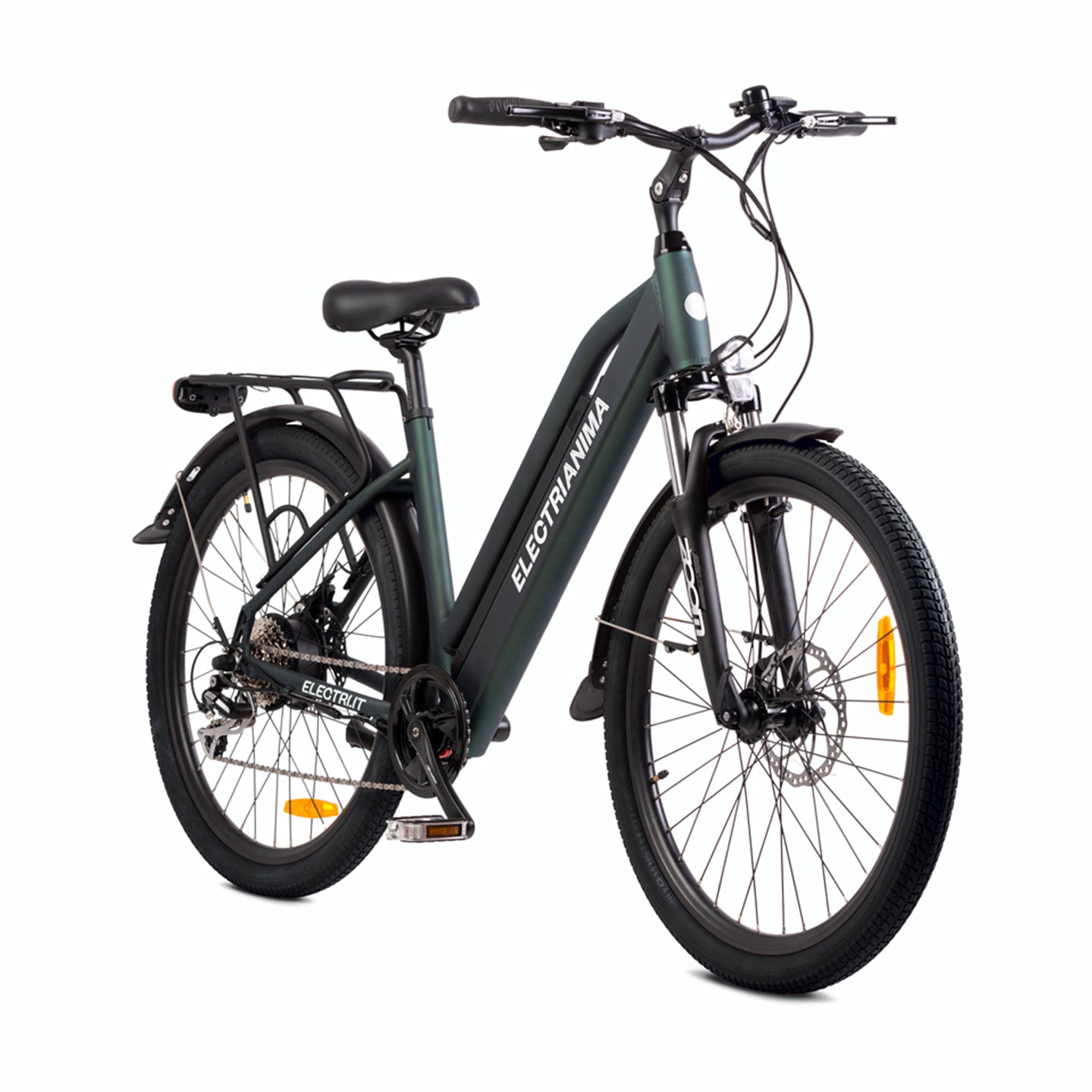 Bicicletta elettrica citybike ANIMA