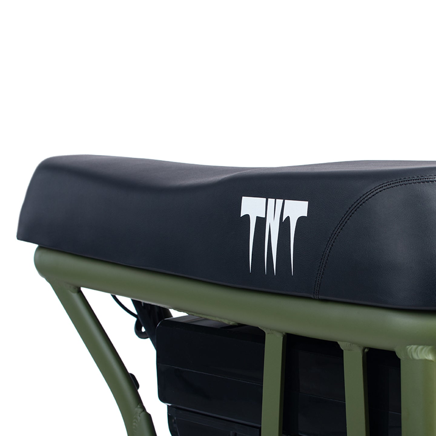 Fat e-bike elettrica biposto - TNT