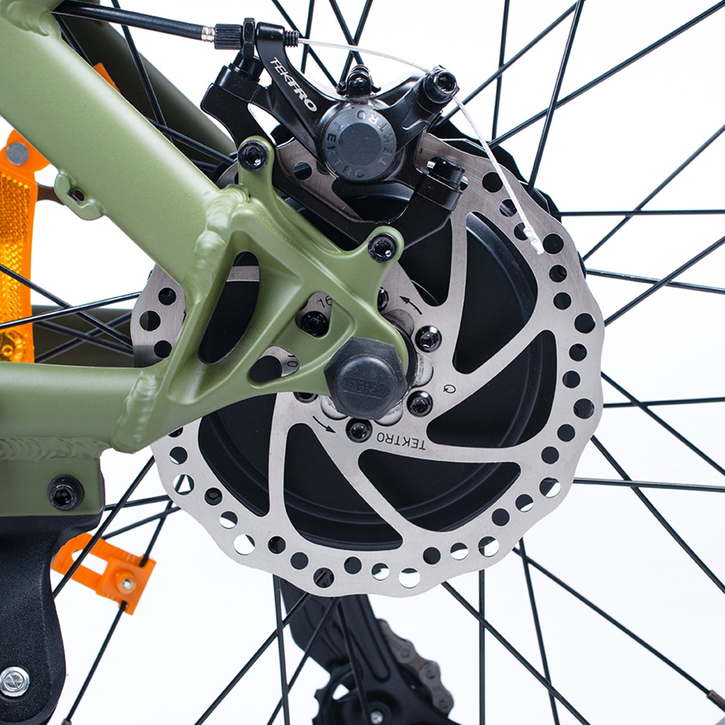 Fat e-bike elettrica biposto - TNT