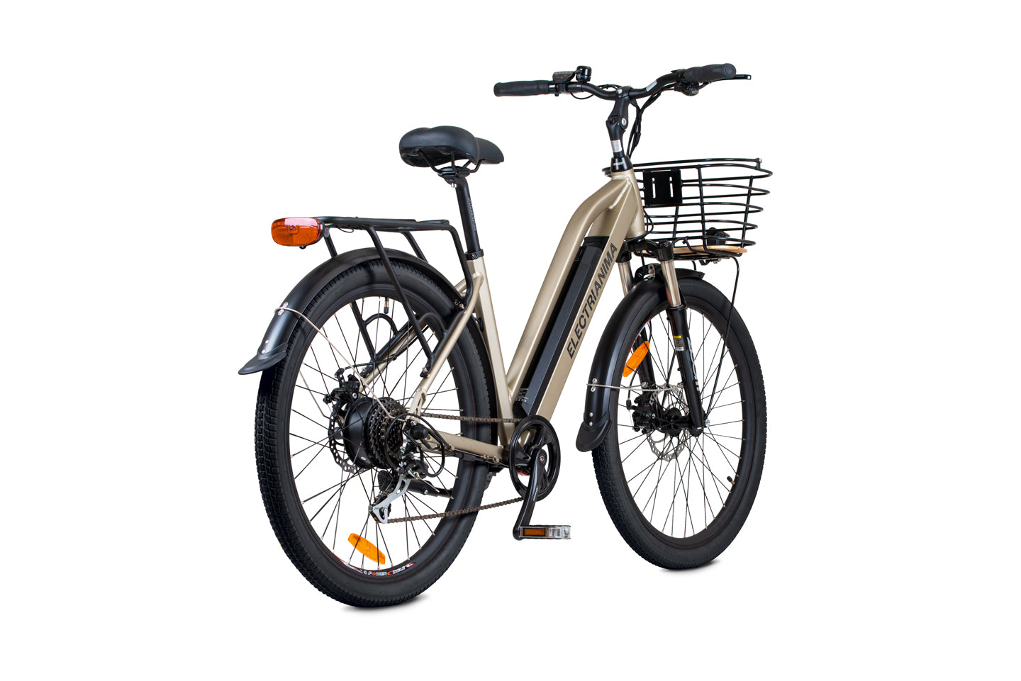Bicicletta elettrica citybike ANIMA