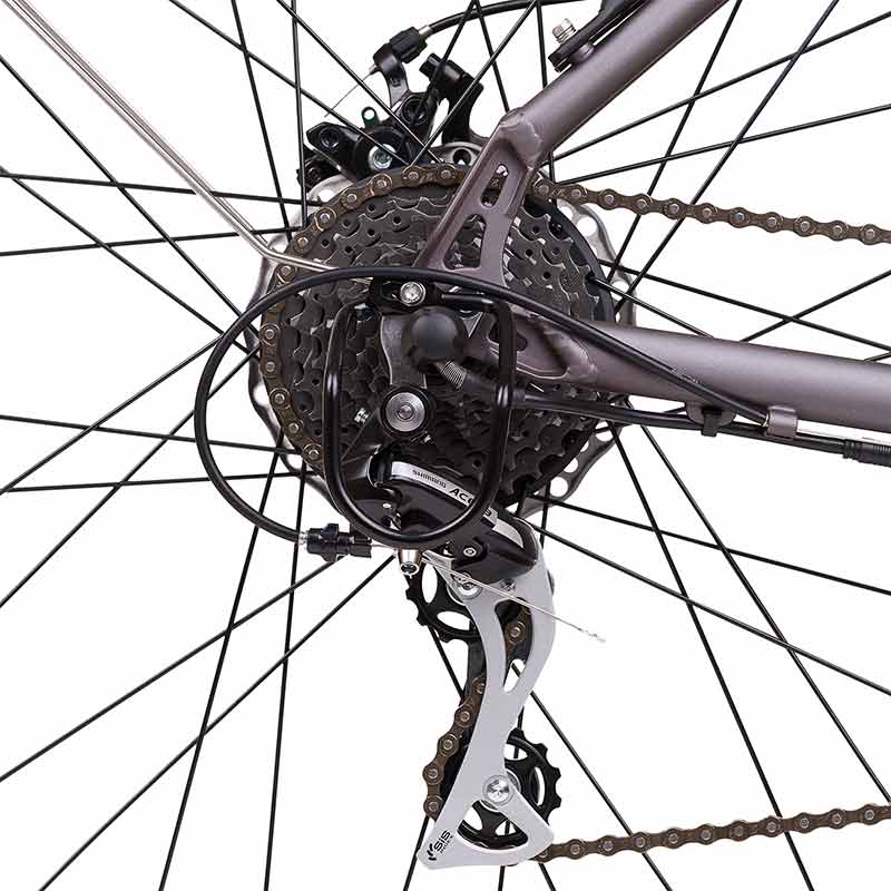 Bicicletta elettrica citybike ANIMA