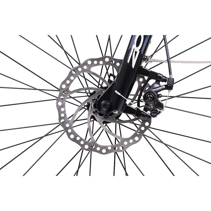 Bicicletta elettrica citybike ANIMA