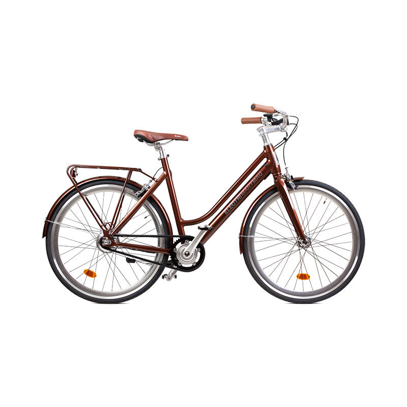 MaryMag – Bicicletta elettrica super leggera